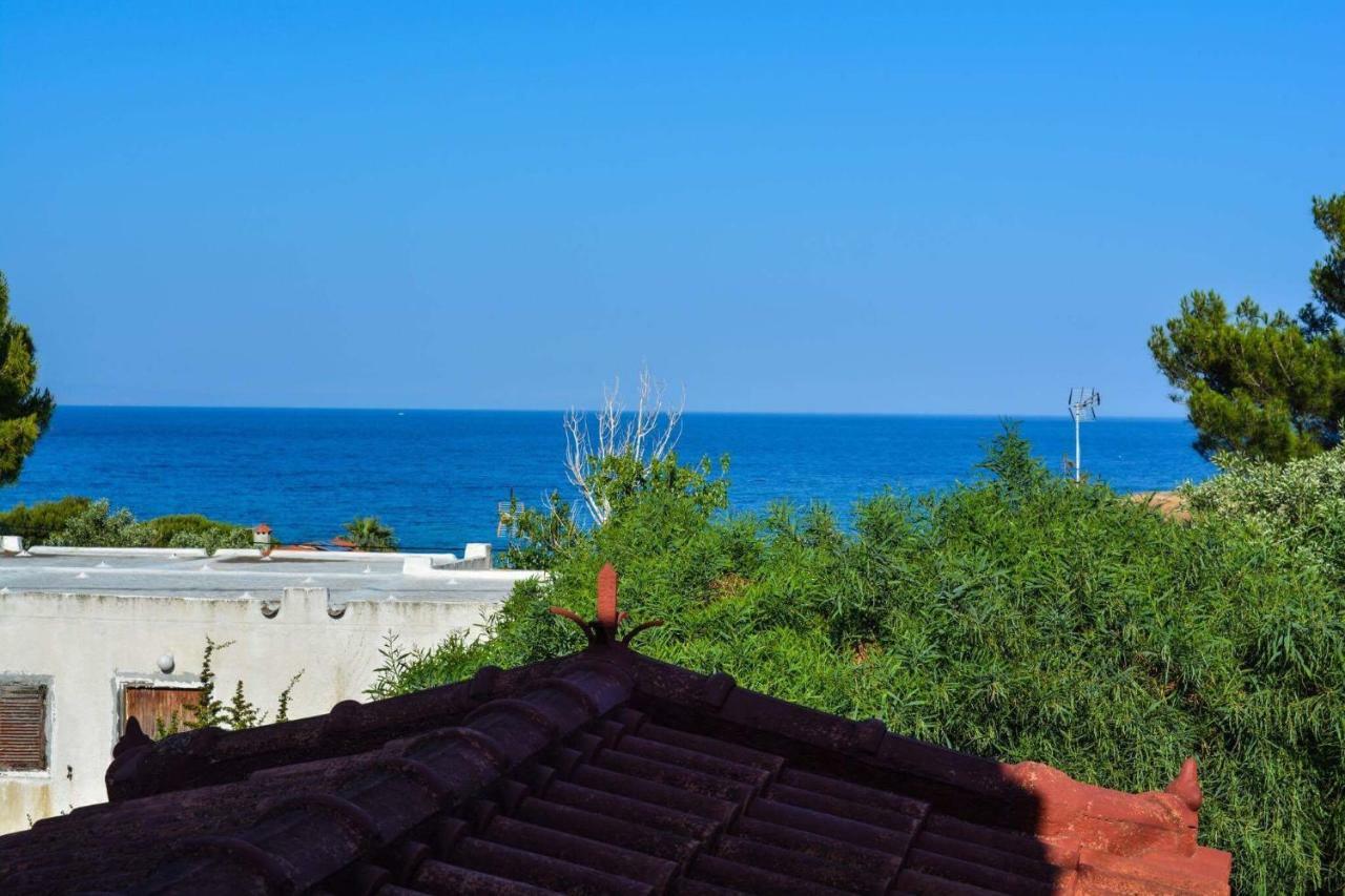 Sofia'S Seaview Villa Near Airport And Beach Artémida Eksteriør bilde